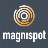 Logo_Magnispot_grey